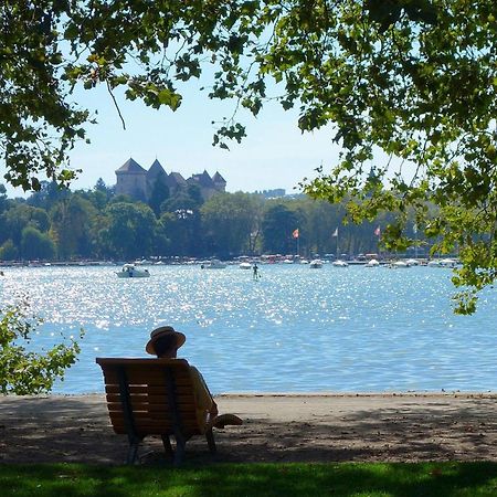 Charmant T3 Renove En Centre-Ville D'Annecy Avec Balcon, Ascenseur Et Parking Prive - Fr-1-432-83 Eksteriør billede